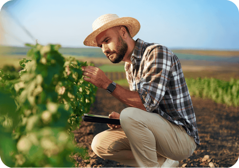 Food & Agriculture